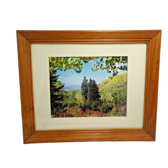Colorado Landscape Trees Framed Photo Print Buffalo Pass Steamboat Springs - Picture 1 of 8
